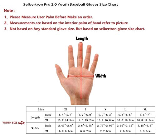 Seibertron B A R PRO 2.0 Signature Batting Gloves greatbats